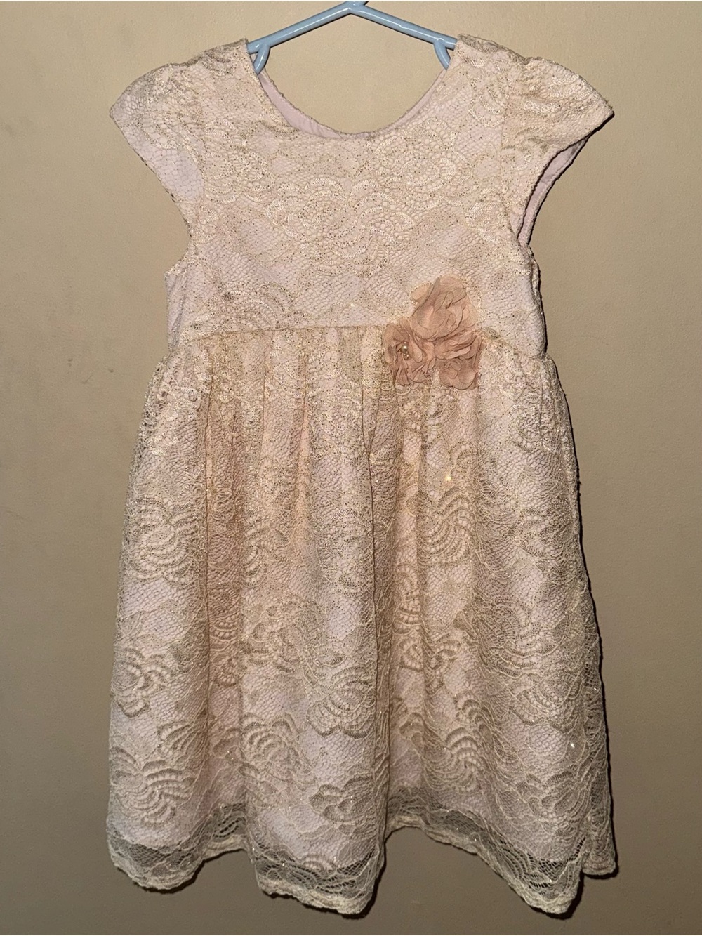 Mia & Mimi Light Blush Rose Lace Dress Floral Trim Party 4T